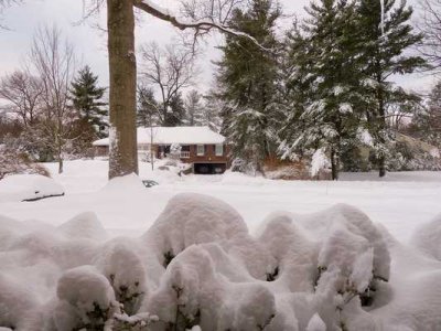 Snow Storm  03.jpg