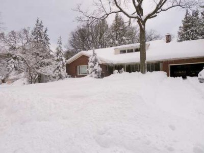 Snow Storm  07.jpg