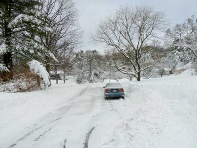 Snow Storm  08.jpg