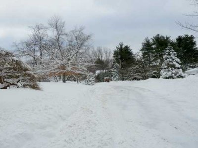 Snow Storm  09.jpg