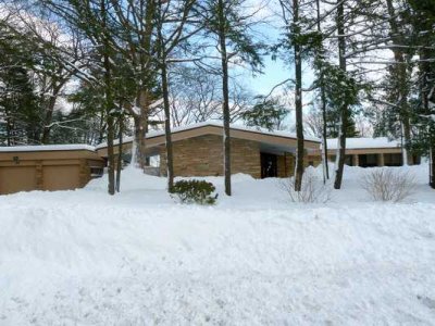 Snow Storm  29.jpg