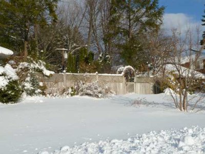 Snow Storm  38.jpg