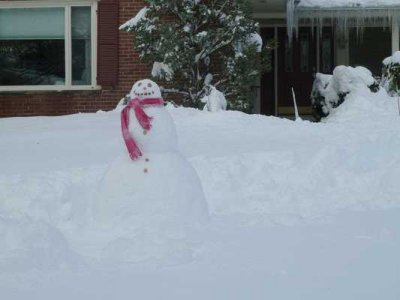 Snow Storm  41.jpg