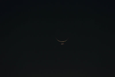 CK0G9084.jpg