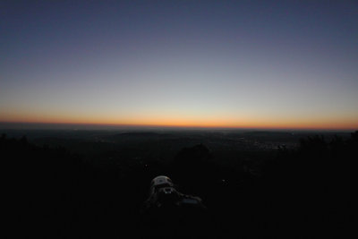 Pictures of the Comet Pan Starrs