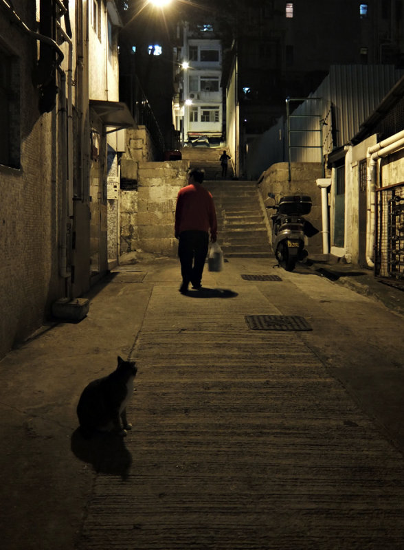 the onlooker