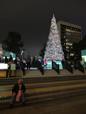 the tiffany tree