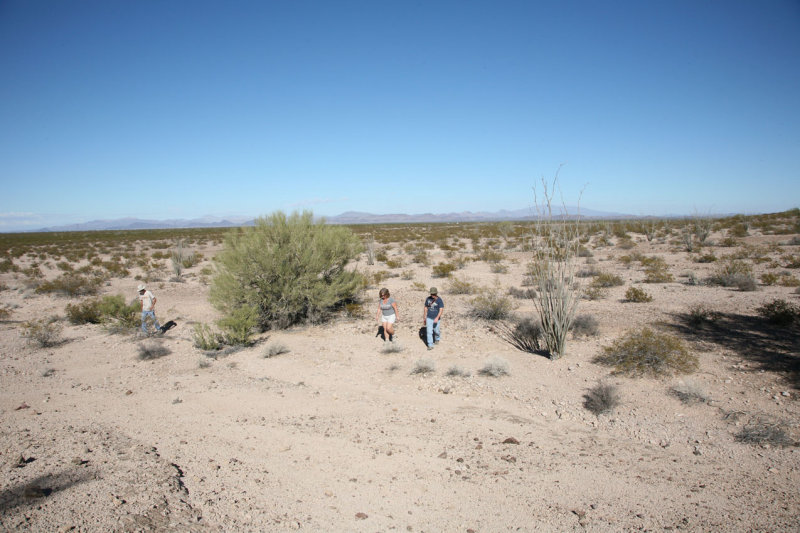Looking East from Coyote Peak Base