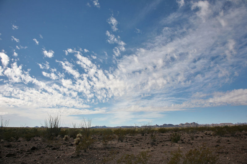 Looking deep into the KOFA refuge