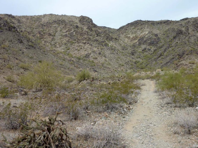 About 1.5 miles in is the Lost Ranch
