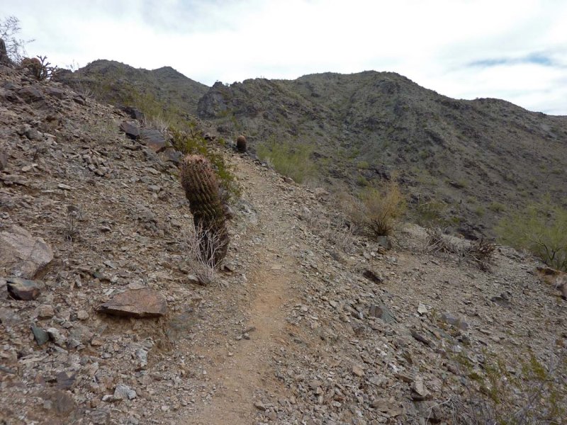 Beginning of Lost Ranch Ruins Trail heading North