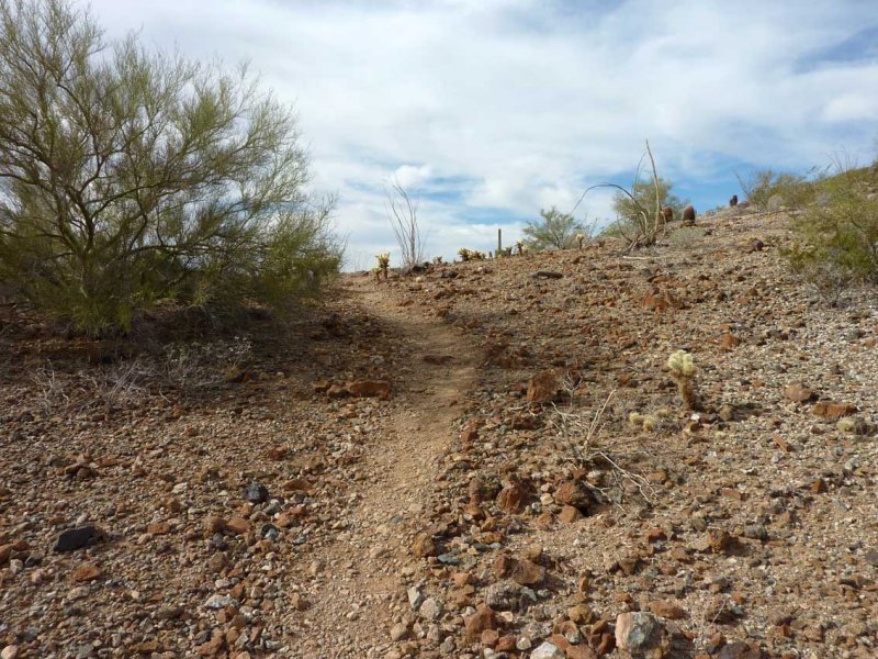 Trail peaks out