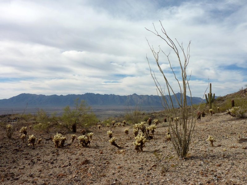 Sierra Estrellas in background