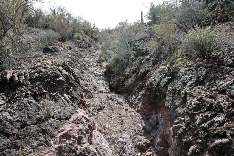 The Trail Follows a Wash