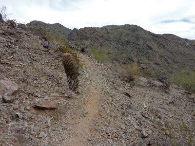 Beginning of Lost Ranch Ruins Trail heading North