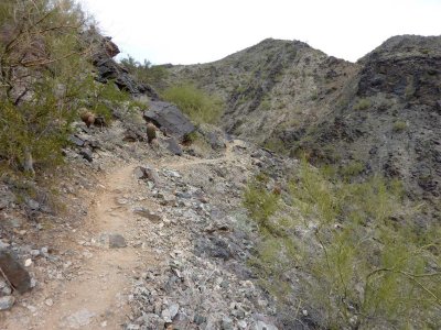 Trail climbs steadily