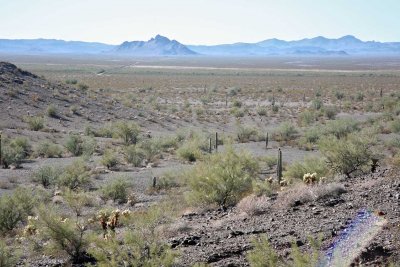 Overlooking the Valley and Coyote Peak in the Distance