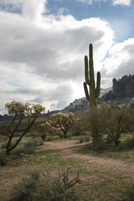 Apache Trail, Arizona - West End - Updated Feb 2013