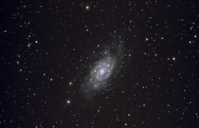 NGC 2403 in Camelopardalis