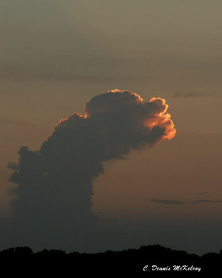 Monster Cloud