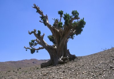 502_06.jpg