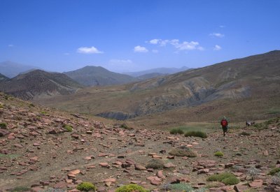 502_07.jpg