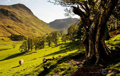 Helvellyn-Landscape.