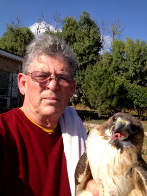 127iphone 024red-tailedhawk2web.jpg