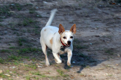 22cooksslough 059cinderellaweb.jpg