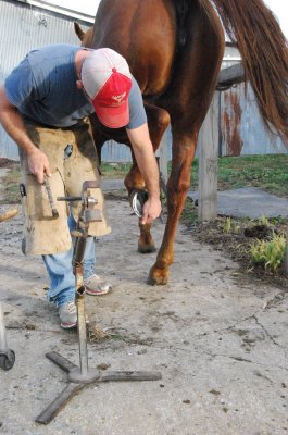 Farrier