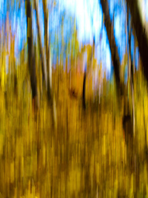 FallColors.jpg