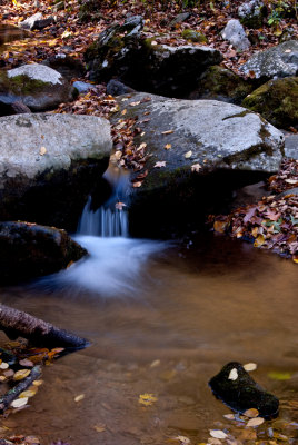 Rose River Water Fall.jpg