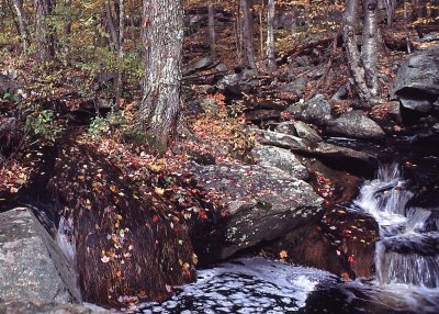 Leominster Pond