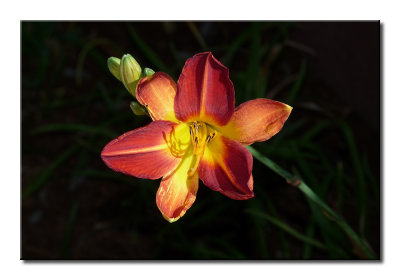 P1350988