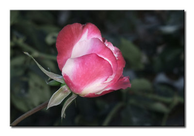 P1360123