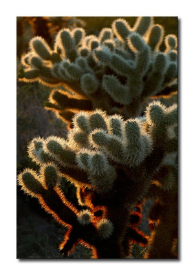 P1380831