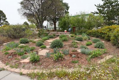 Area - Industrial Strength Garden (6574)