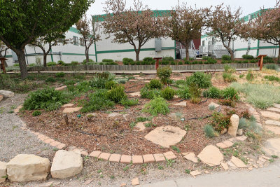 Area - Oasis Garden (6583)