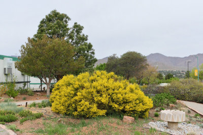 Area View - Hope Garden (6551)