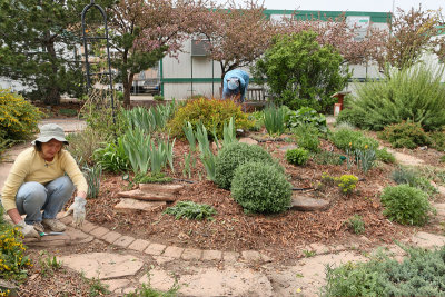 Work Party - Perennial Mound (6580)