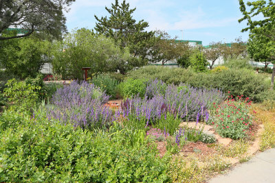 Area - Industrial Strength Garden (8432)