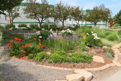 Area - Oasis Garden (8436)