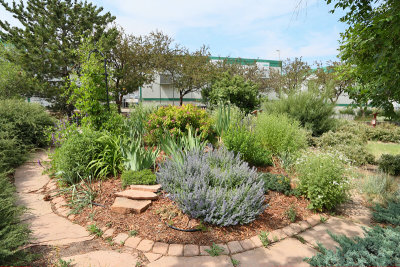 Area - Perennial Mound (8434)