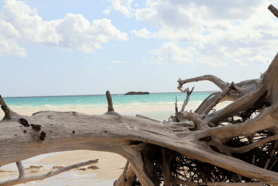 Yucayan National Park, Bahamas