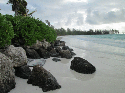 the-island-grand-Bahama.gif