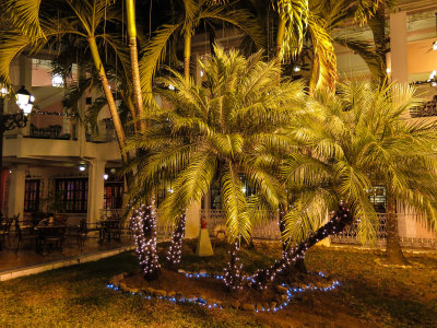 Decorated palms