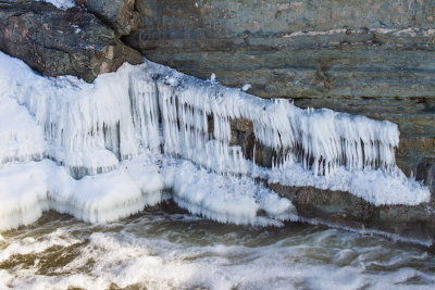 Ice Creature at Hog's Back