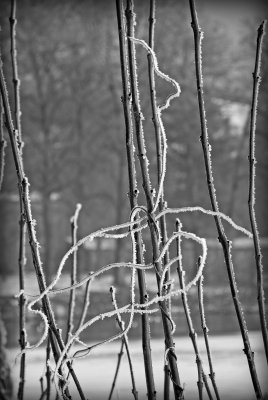 DSC_9706.JPG