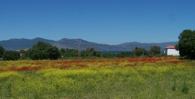 Fields near Skala Vassilikon