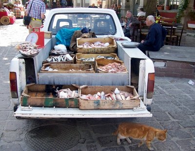 Fishmonger in Agiassos